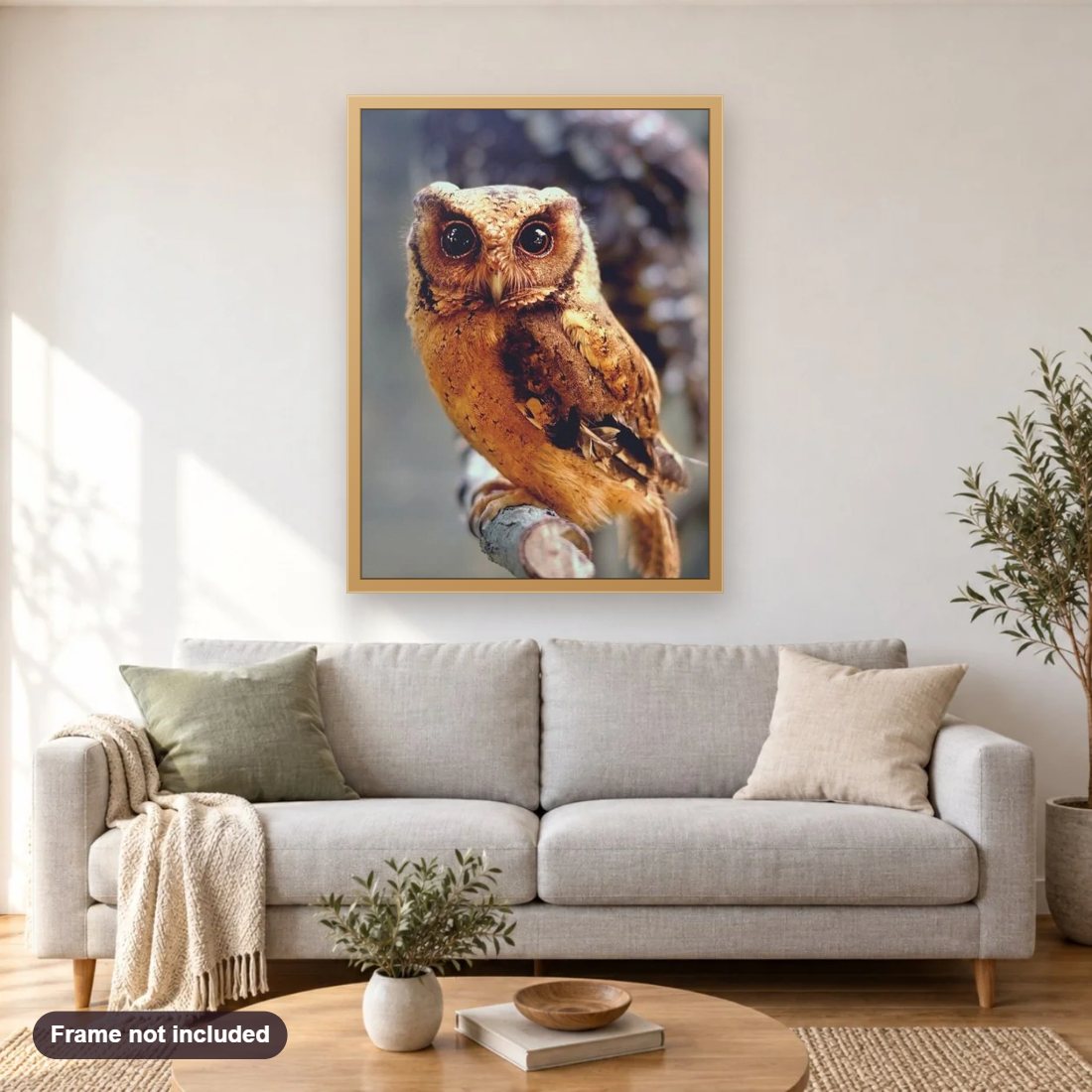 Wild Owl diamond painting shown framed on a living room wall above a sofa