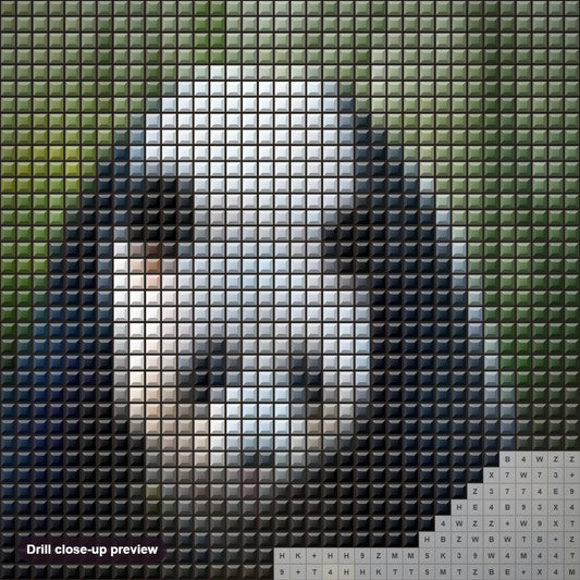 Close-up preview of the Wild Panda diamond painting with square 5D drills and printed canvas symbols