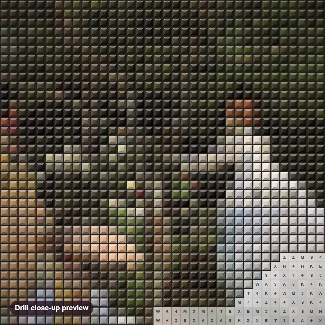 Close-up preview of the Women in the Garden diamond painting with square 5D drills and printed canvas symbols