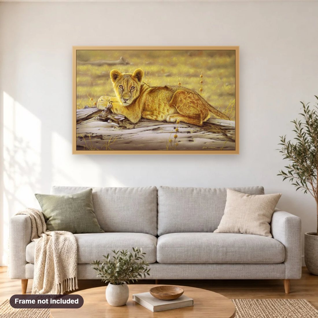 Zimbabwe Lion Cub diamond painting shown framed on a living room wall above a sofa