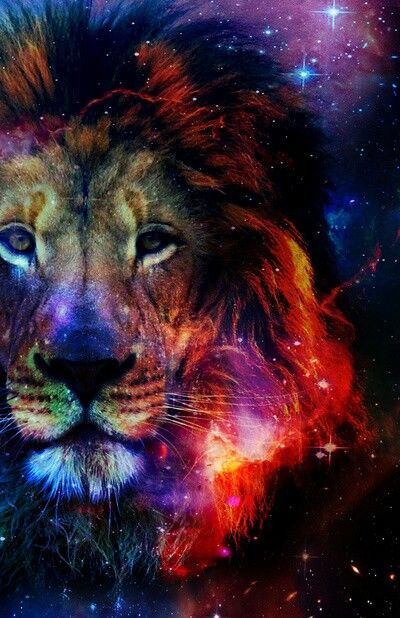 Lion 5D Diamond Painting Kit