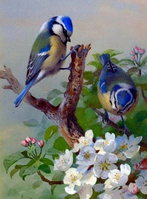 Adorable Birds Pair Diamond Painting