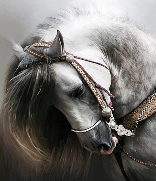 Black Horse - Diamond Painting Kit – Just Paint with Diamonds
