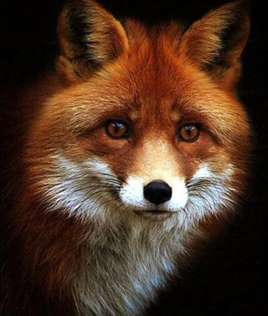 Adorable Red Fox Paint by Diamonds