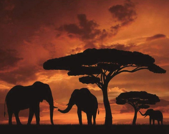 African Elephants Paint by Diamonds