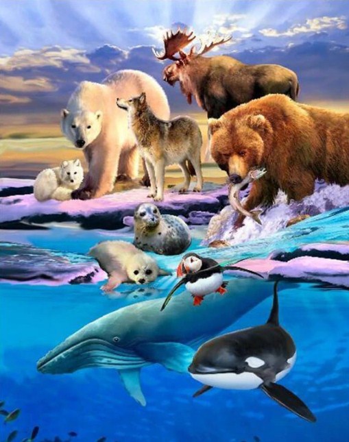 Alaska Animals Paint by Diamonds