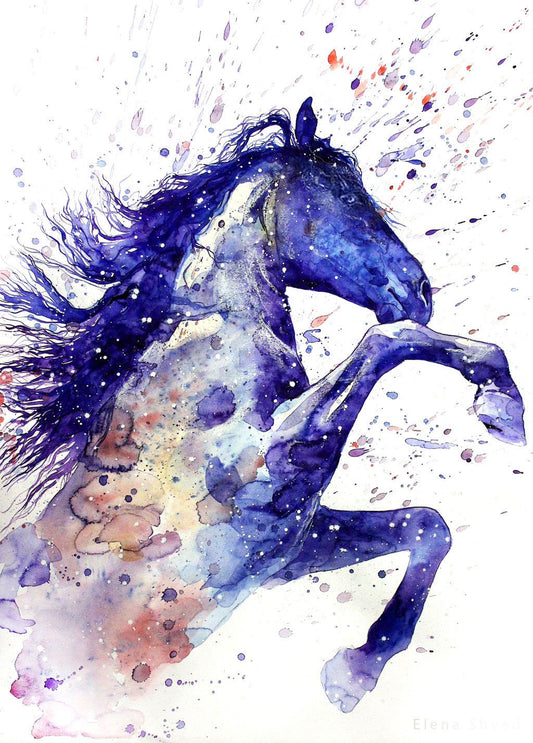 Alluring Horse Diamond Painting Kit