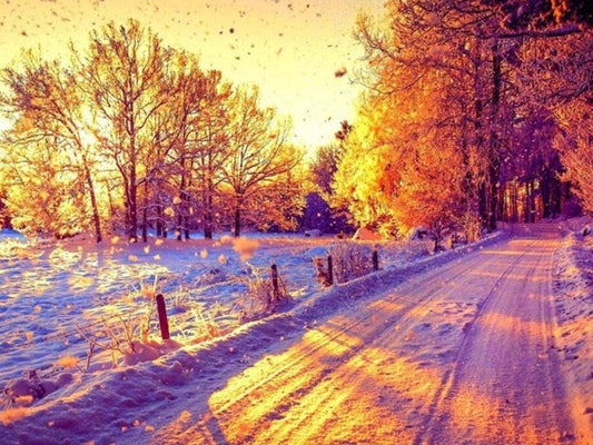 Amazing Snowy Street Diamond Painting