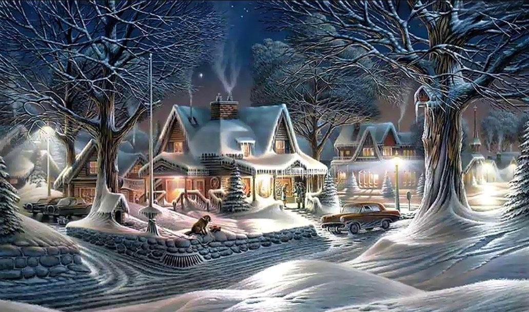 Amazing Winter Night & Snow Diamond Painting