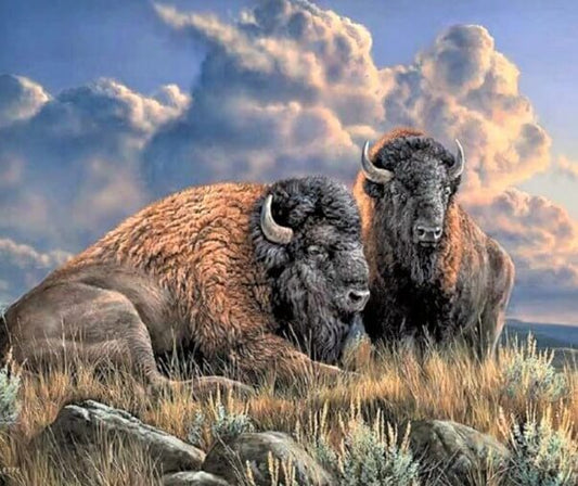 Bison Diamond Painting