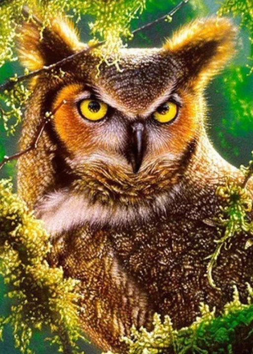 Russian Design Owls at Night DIY Full Drill Diamond Art Painting Mosaic Art  Painting - China Owl Diamond Painting and Owl Diamond Art Painting price
