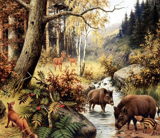 Animals in Forest Diamond Painting