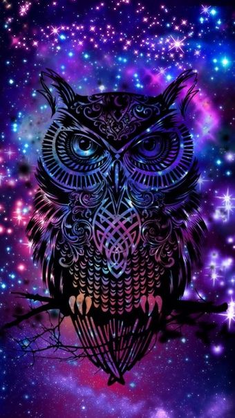 Owl Diamond Painting Kit