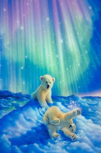 Baby Bears & Aurora Lights Diamond Painting