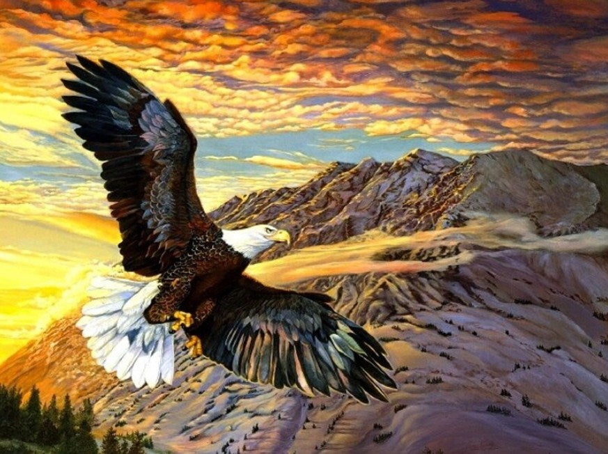 Bald Eagle Flying High Diamond Painting