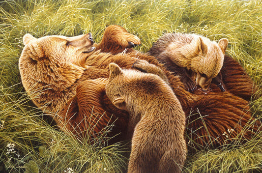 Bearing Little Bears