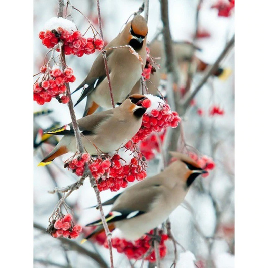 Beautiful birds and flowers diamond painting kit by All Diamond Painting