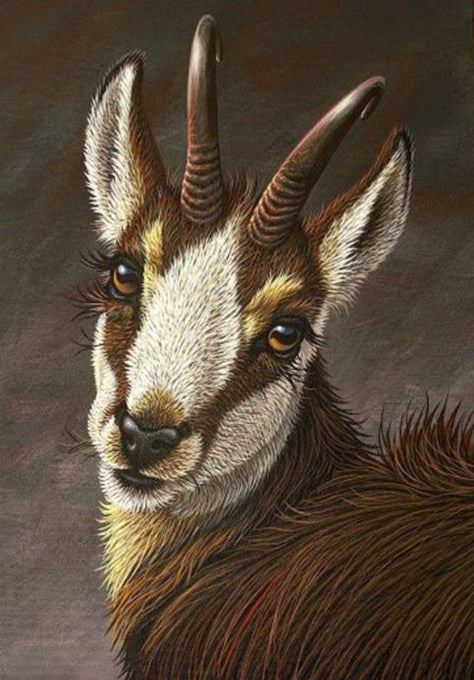 Beautiful Goat Diamond Painting Kit