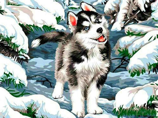 Beautiful Husky Diamond Painting Kit