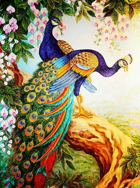 Beautiful Peafowl Pair Paint by Diamonds