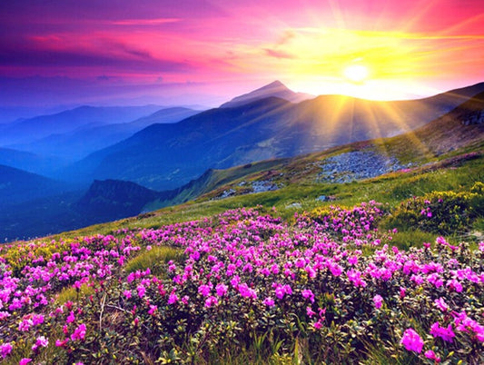 Beautiful Sunrise & Pink Flowers Diamond Painting