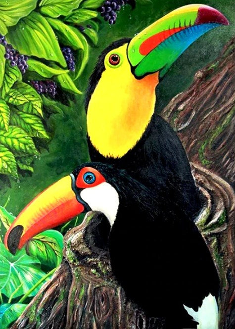 Toucan Pair Diamond Painting