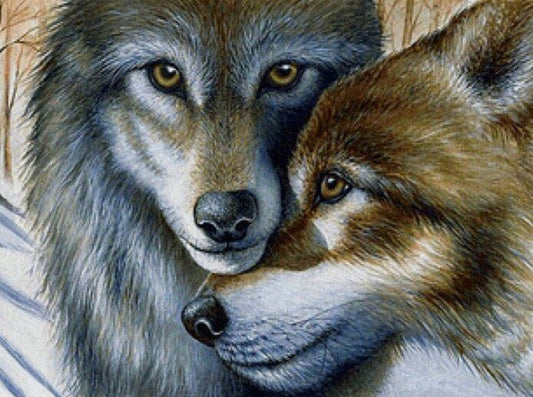 Wolves Pair Paint by Diamonds