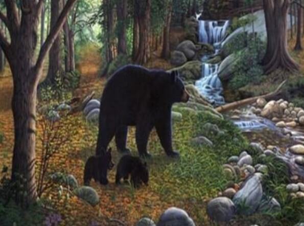 Grizzly Bear Diamond Painting
