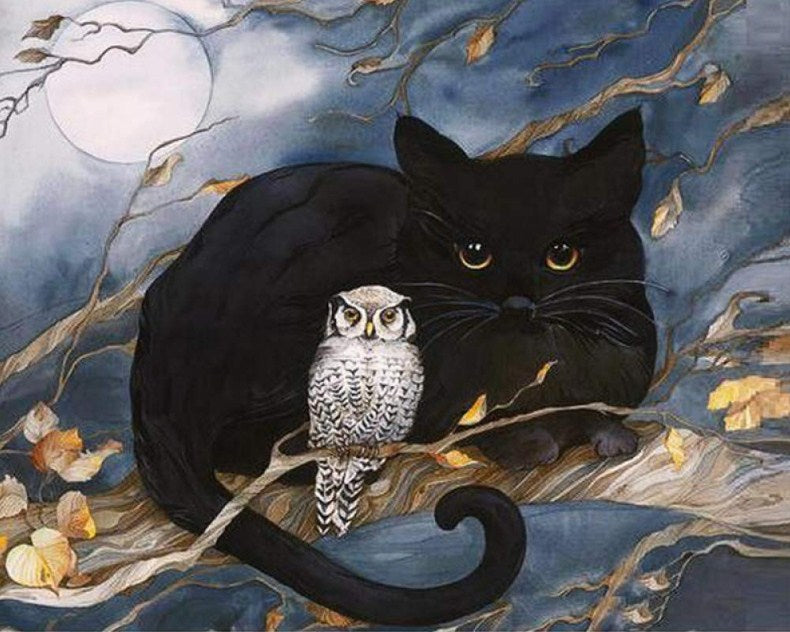 Black Cat & Owl Paint by Diamonds