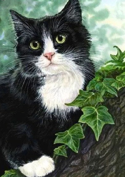 Black Cat on Tree Diamond Painting