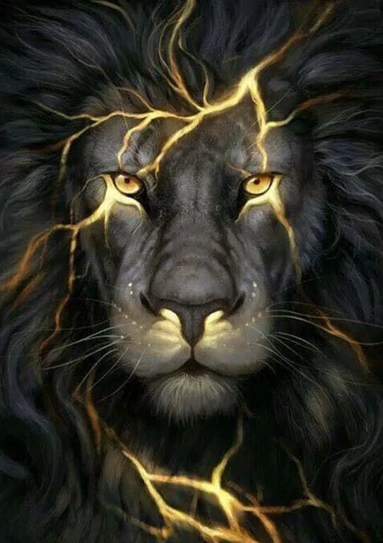 Black Lion Art All Diamond Painting black-lion-art-all-diamond-painting
