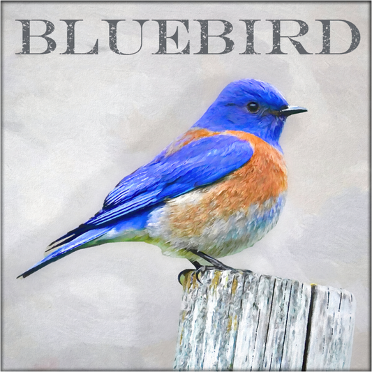BlueBird - Art by Denise Dundon