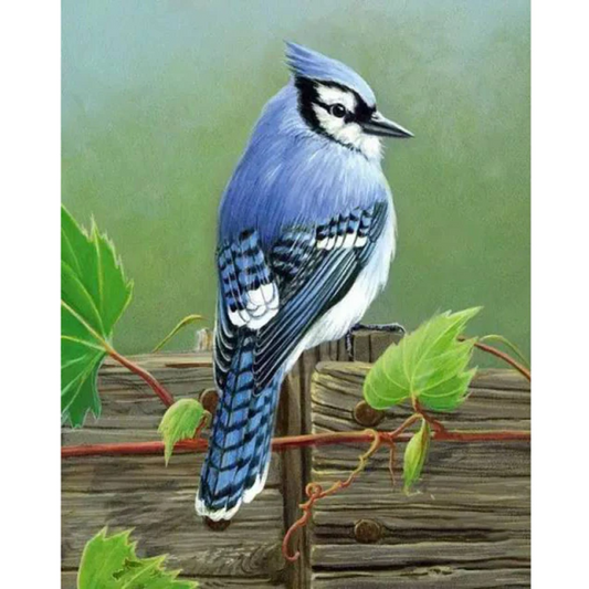 Blue humming bird diamond painting