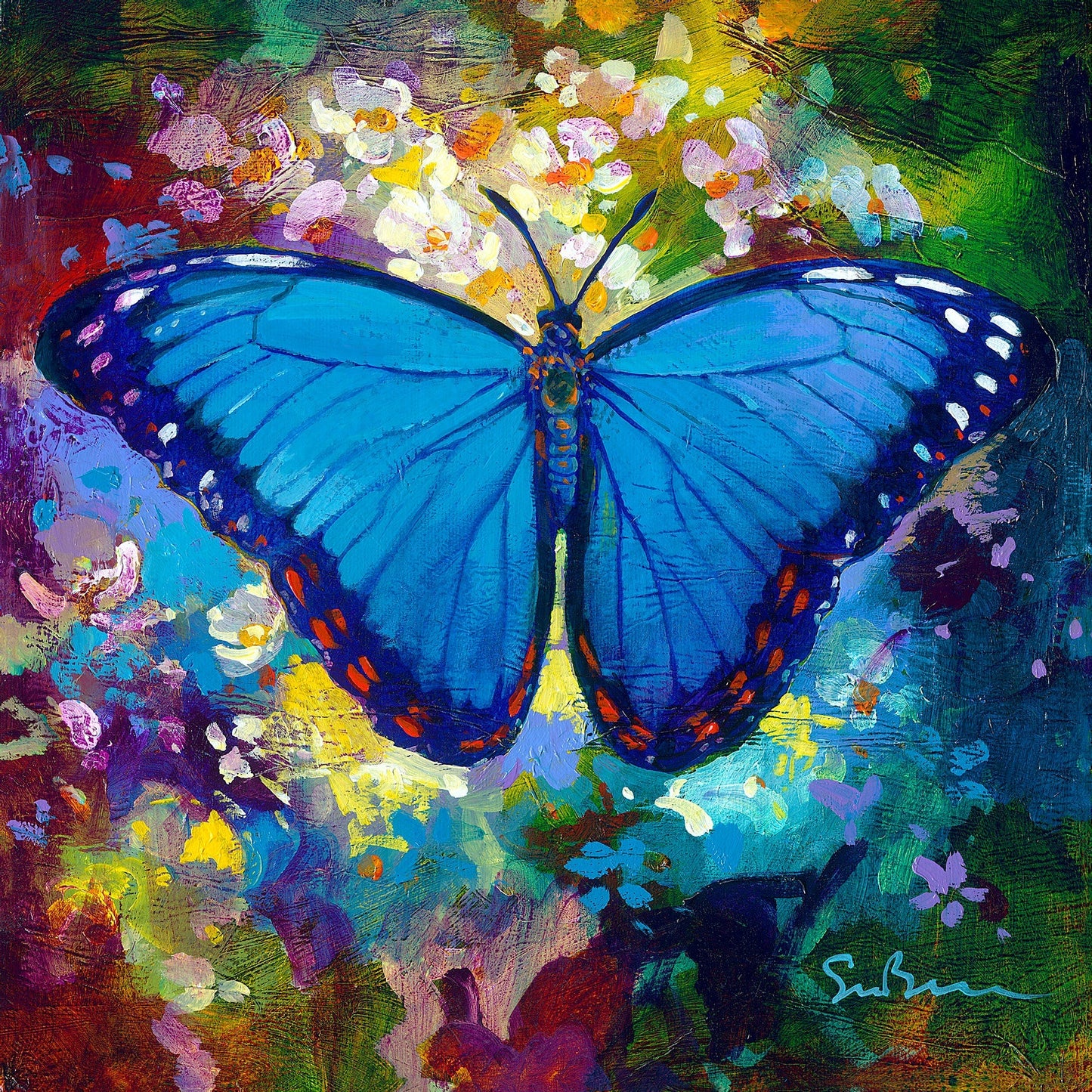 Blue Morpho