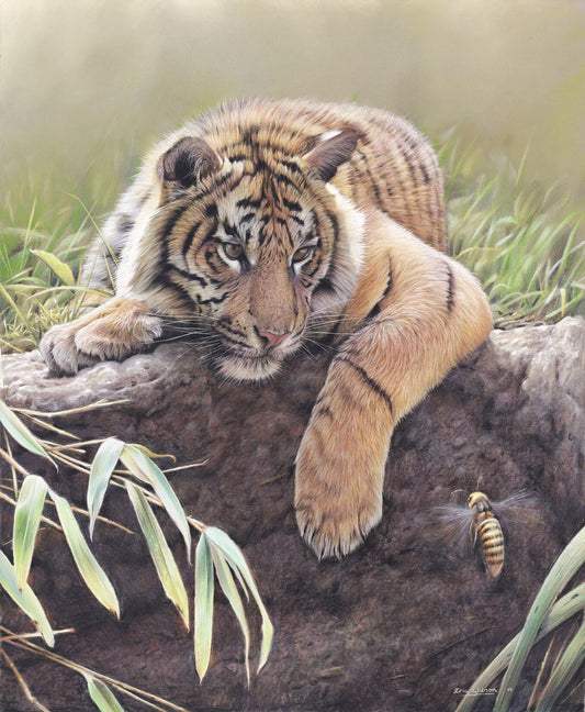 Tiger Cub