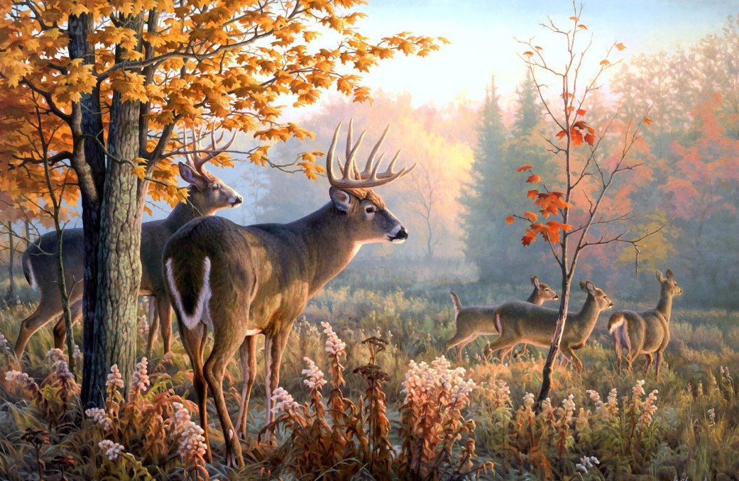 Buck & Doe Family Diamond Painting Kit
