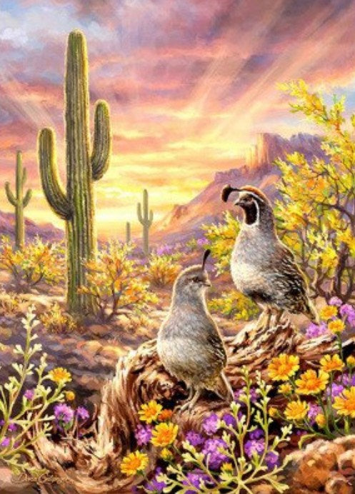 Cactus & Birds Paint by Diamonds