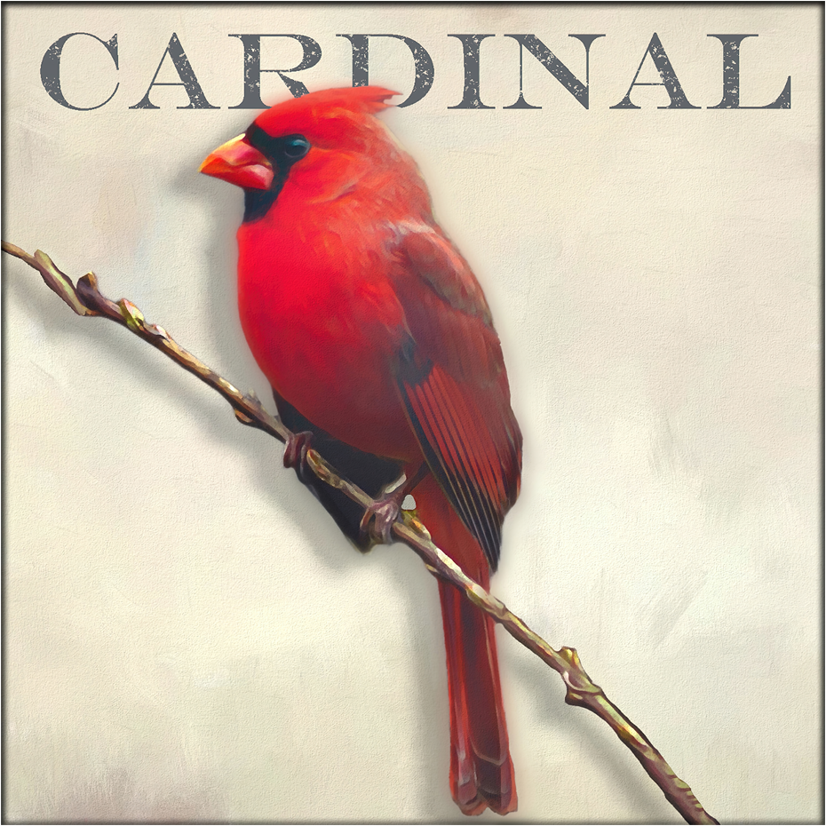 Cardinal - Art by Denise Dundon