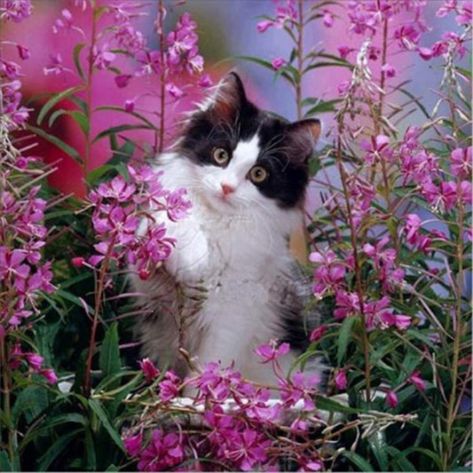 Cat Playing in Flowers Diamond Painting