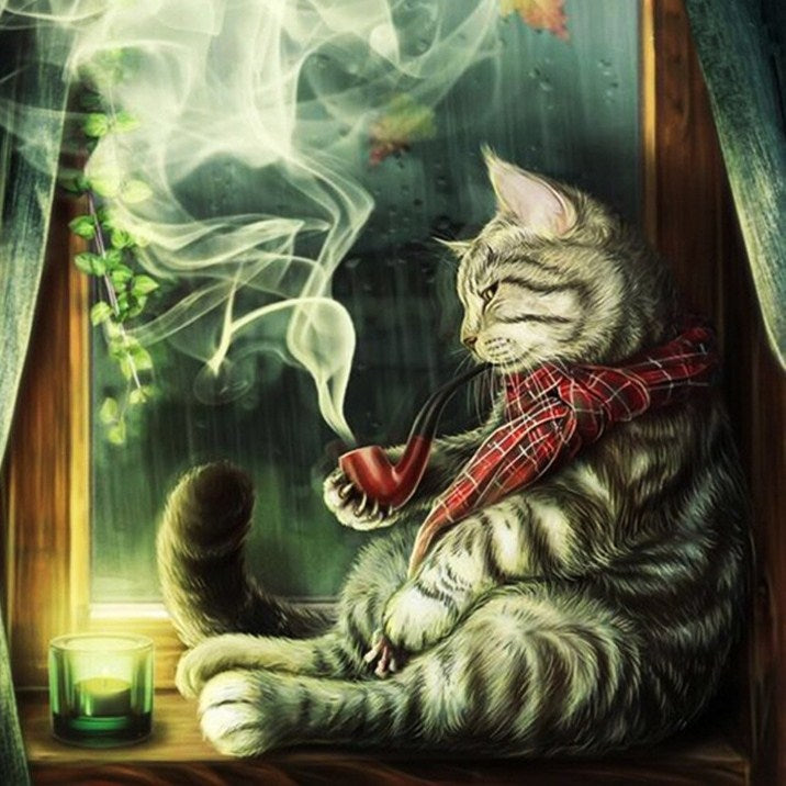 Cat Smoking Cigar Diamond Painting Kit