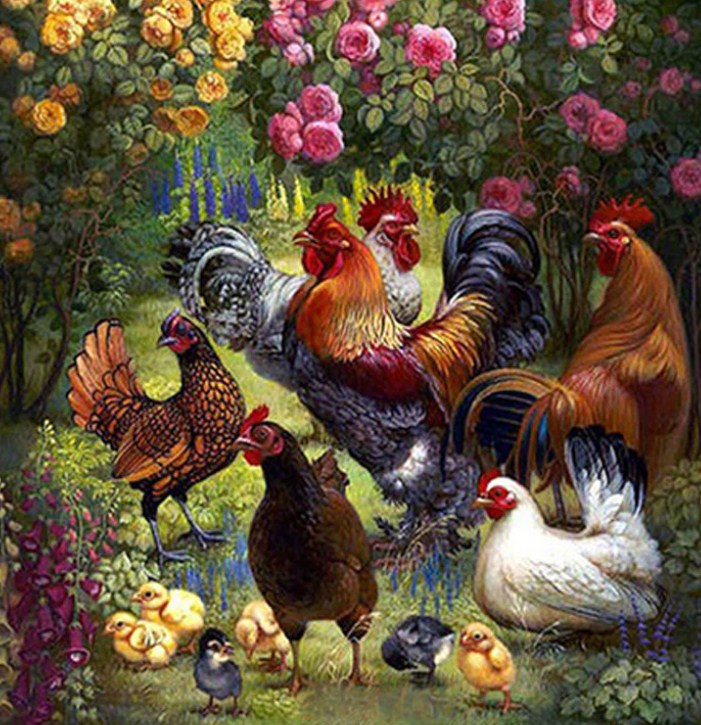 Chickens Square Drill Painting Kit
