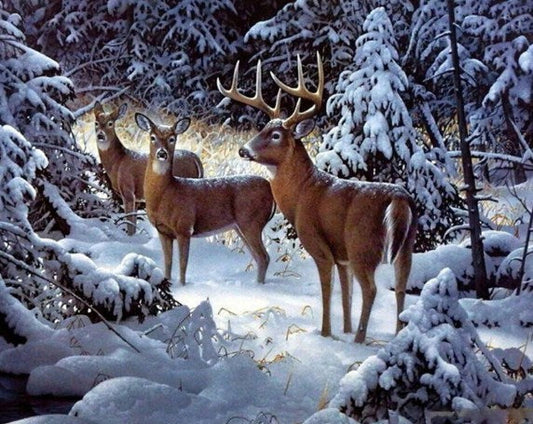 Christmas Elk Diamond Painting Kit