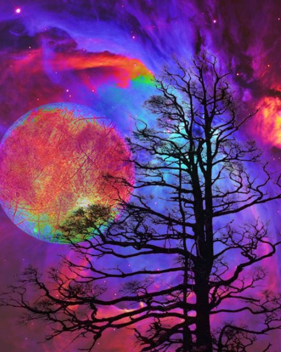 Colorful Galaxy & Barren Trees Diamond Painting