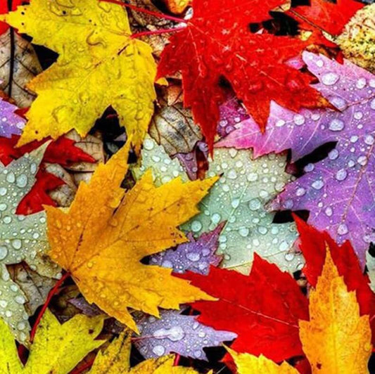 Leaves Diamond Painting Kit