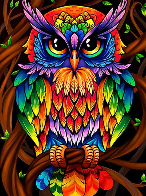 Colorful Owl Diamond Painting Kit