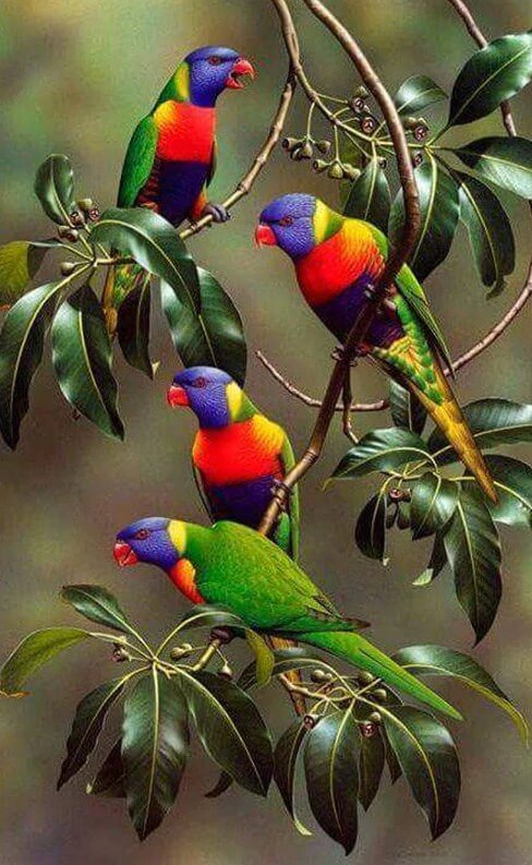 Colorful Parrots on Tree Branches