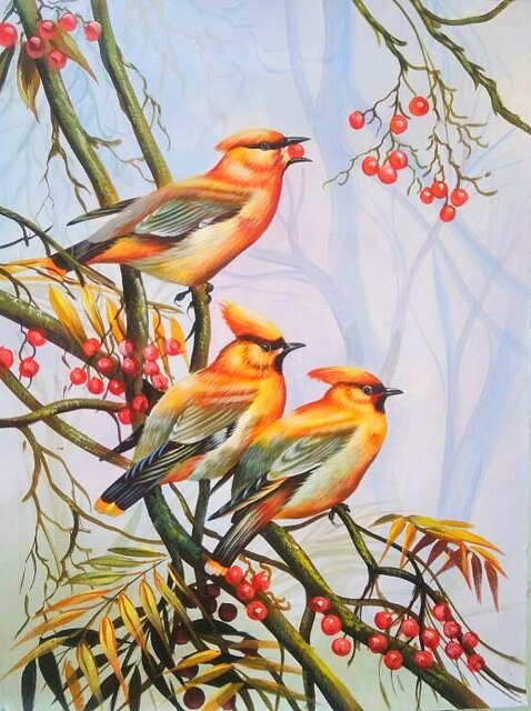 Cute little birds DIY diamond painting kit