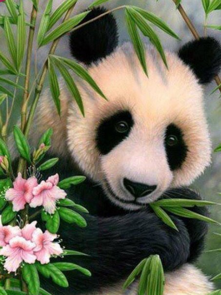 Cute panda diamond painting kit by All Diamond Painting