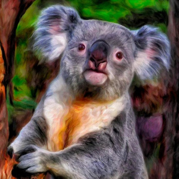 Cute Baby Koala Diamond Painting Kit