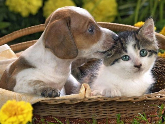 Cute Friendship Paint by Diamonds